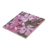 Roze Oleander Roos Laurel Black - Overzicht Tegeltje (Zijkant)