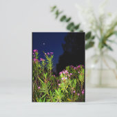 Roze Oleander 's Nachts Briefkaart (Staand voorkant)
