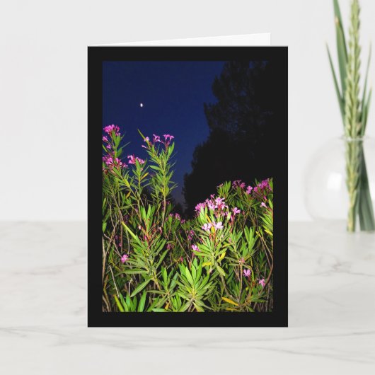 Roze Oleander 's Nachts Kaart (Voorkant)