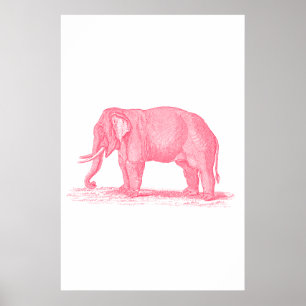 roze olifant 1800s Illustratie olifanten Poster
