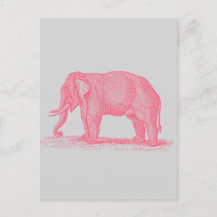 roze olifant op Grijze 1800s Elephants Briefkaart