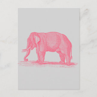  roze olifant op Grijze 1800s Elephants Briefkaart