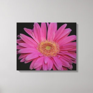 Roze omlijnd Canvas Afdruk