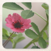 Roze Onderzetter (Voorkant)