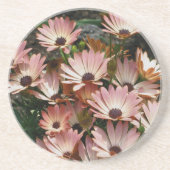 Roze Onderzetter van Afrikaanse Daisies Floral (Voorkant)