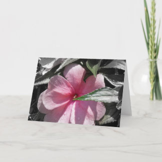 Roze Ongeduldig Kaart