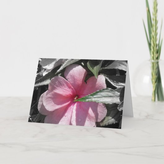 Roze Ongeduldig Kaart (Voorkant)