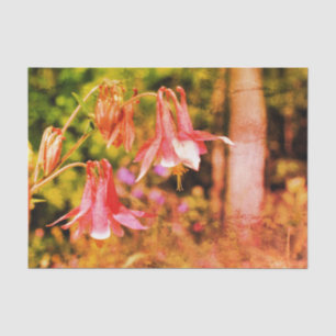 Roze ontkoppeling van Columbine Flowers Tissuepapier
