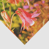 Roze ontkoppeling van Columbine Flowers Tissuepapier (Detail)