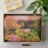 Roze ontkoppeling van Columbine Flowers Tissuepapier (Geschenk)