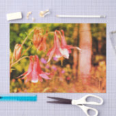 Roze ontkoppeling van Columbine Flowers Tissuepapier (Craft)