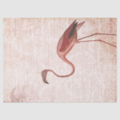  roze ontkoppeling van Flamingo Tissuepapier (Voorkant)