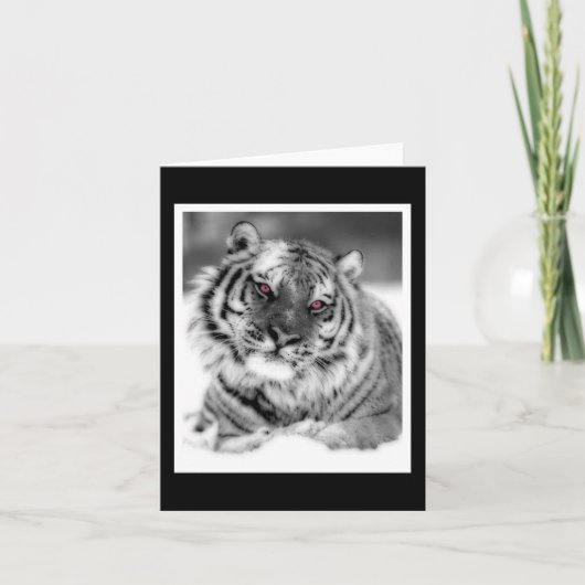 Roze Oogtijger Kaart (Voorkant)
