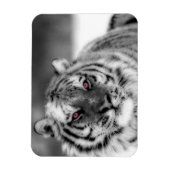 Roze Oogtijger Magneet (Verticaal)