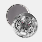 Roze Oogtijger Magneet (Voorkant / Achterkant)