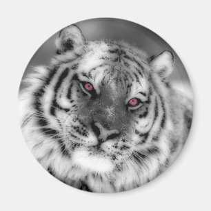 Roze Oogtijger Magneet
