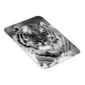 Roze Oogtijger Magneet (Rechterzijde)