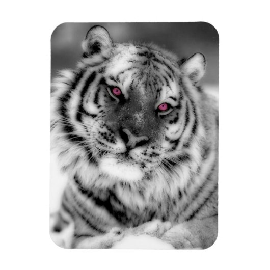 Roze Oogtijger Magneet (Verticaal)