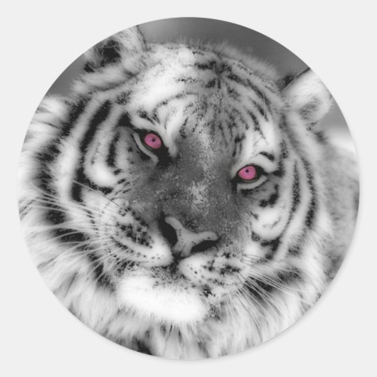 Roze Oogtijger Ronde Sticker (Voorkant)