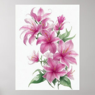Roze oosterse lelie bloemen poster