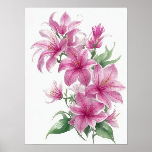 Roze oosterse lelie bloemen poster (Voorkant)