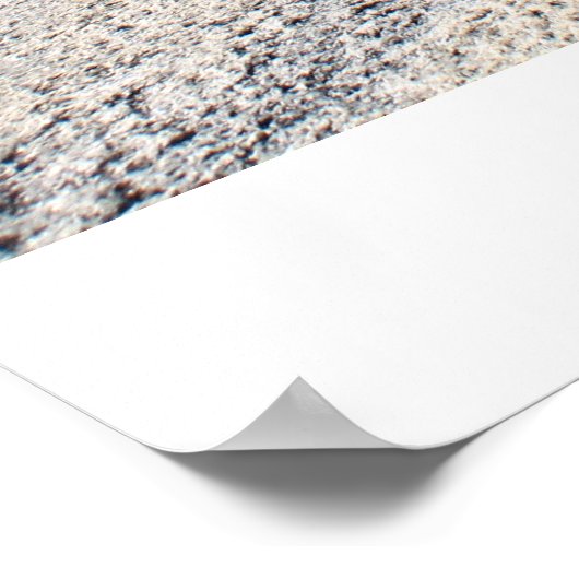 Roze op Stone Mountain Poster (Hoek)