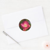 Roze oppy in de Sunshine Foto Ronde Sticker (Envelop)