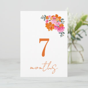 Roze Oranje 7 Maanden Baby Maandelijkse Mijlpaal K Kaart