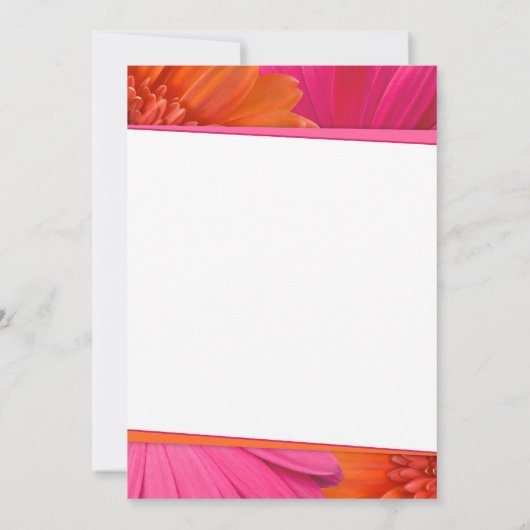 Roze Oranje Gerber Daisy Bevestiging Uitnodiging (Achterkant)