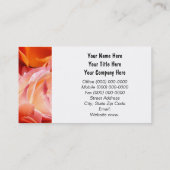 Roze Oranje Roos Bloemen Visitekaartjes Vrouwen (Achterkant)