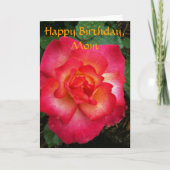 Roze/Oranje Roos Kaart (Voorkant)