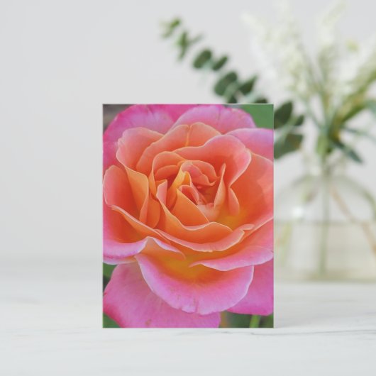 Roze & Oranje Rozen Briefkaart (Staand voorkant)