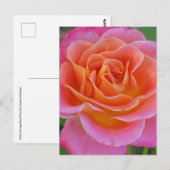 Roze & Oranje Rozen Briefkaart (Voorkant / Achterkant)