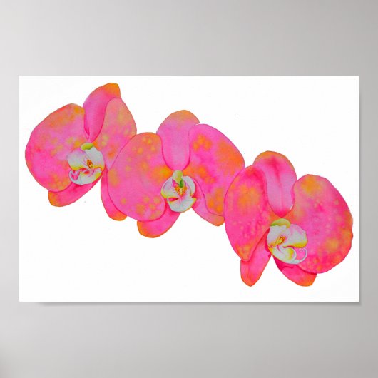 Roze oranje waterverf schilderij van Orchidee Poster (Voorkant)