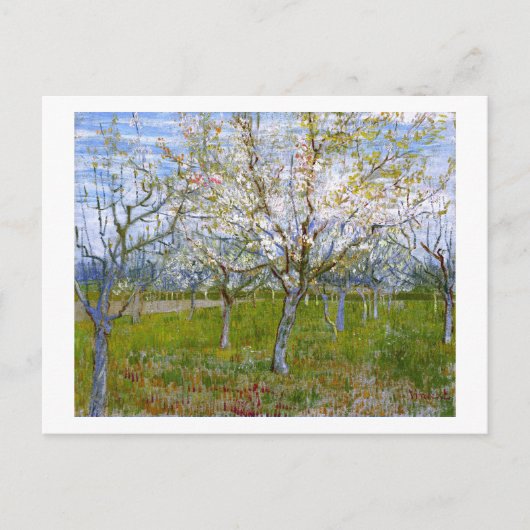 Roze Orchard (F555) Van Gogh Fine Art Briefkaart (Voorkant)