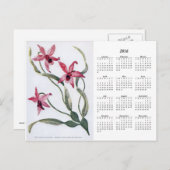  Roze Orchid 2016 Floral Calendar Briefkaart (Voorkant / Achterkant)