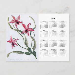  Roze Orchid 2016 Floral Calendar Briefkaart
