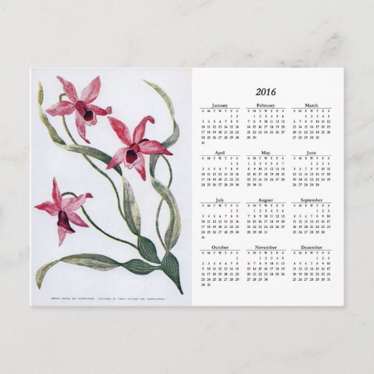  Roze Orchid 2016 Floral Calendar Briefkaart (Voorkant)