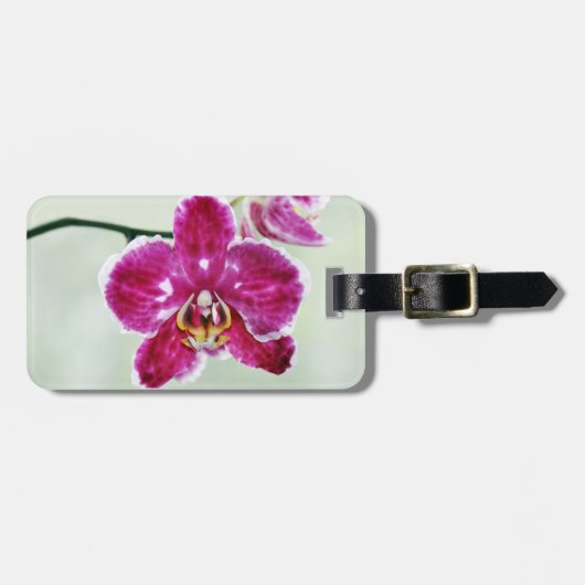 Roze Orchid Bagagelabel (Voorkant horizontaal)