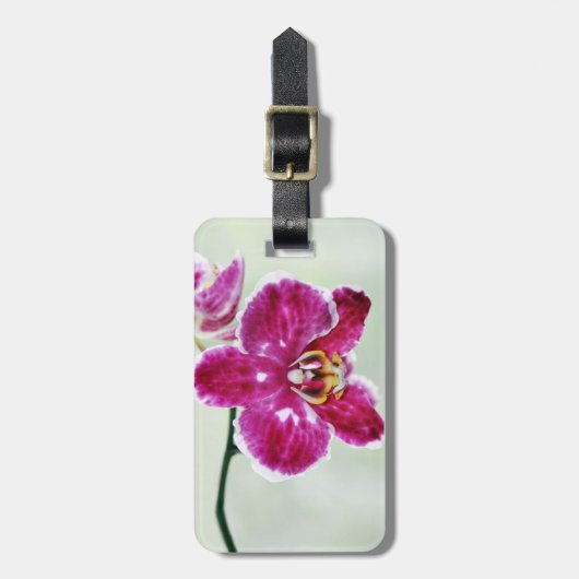 Roze Orchid Bagagelabel (Voorkant verticaal)