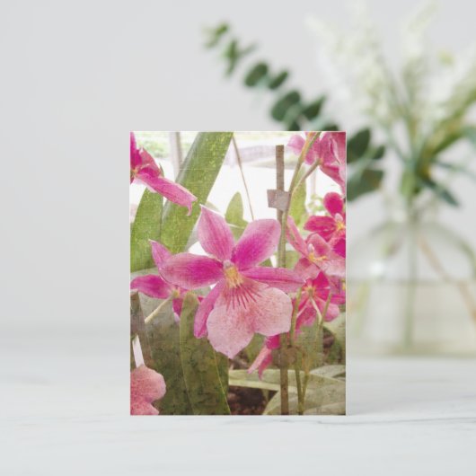 Roze Orchid Briefkaart (Staand voorkant)