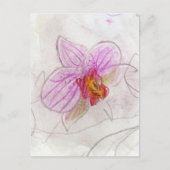 Roze Orchid Briefkaart (Voorkant)