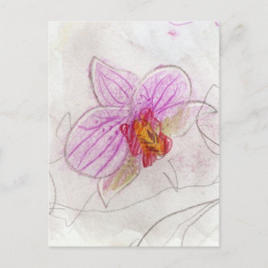 Roze Orchid Briefkaart (Voorkant)