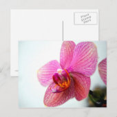 Roze Orchid Briefkaart (Voorkant / Achterkant)