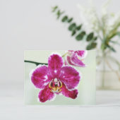 Roze Orchid Briefkaart (Staand voorkant)