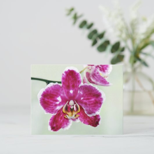 Roze Orchid Briefkaart (Staand voorkant)
