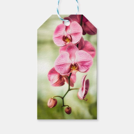 Roze Orchid Cadeaulabel (Voorkant)
