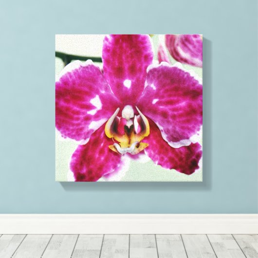 Roze Orchid Canvas Afdruk (Insitu (Houten vloer))