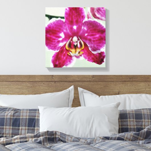 Roze Orchid Canvas Afdruk (Insitu (Slaapkamer))
