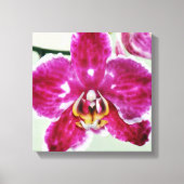 Roze Orchid Canvas Afdruk (Voorkant)